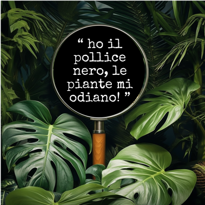 Check pianta - esempio 1
